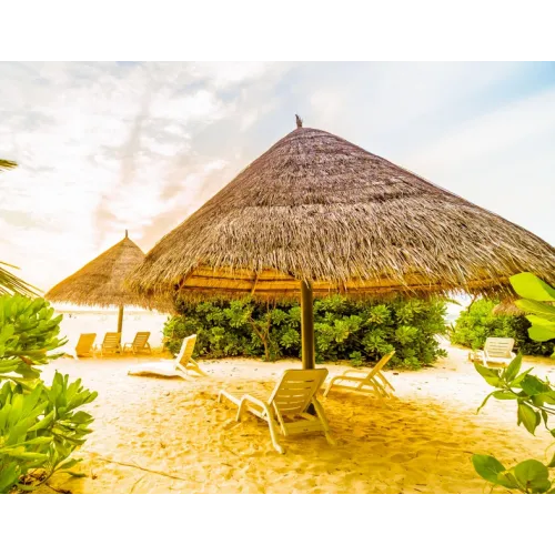 Beach Destinations